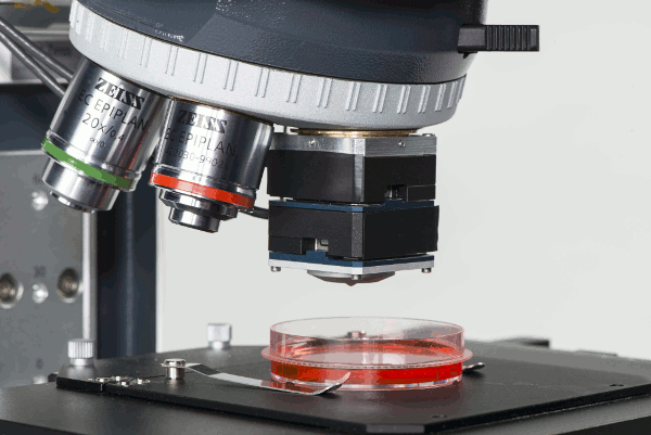 easySAM - Acoustic Microscope